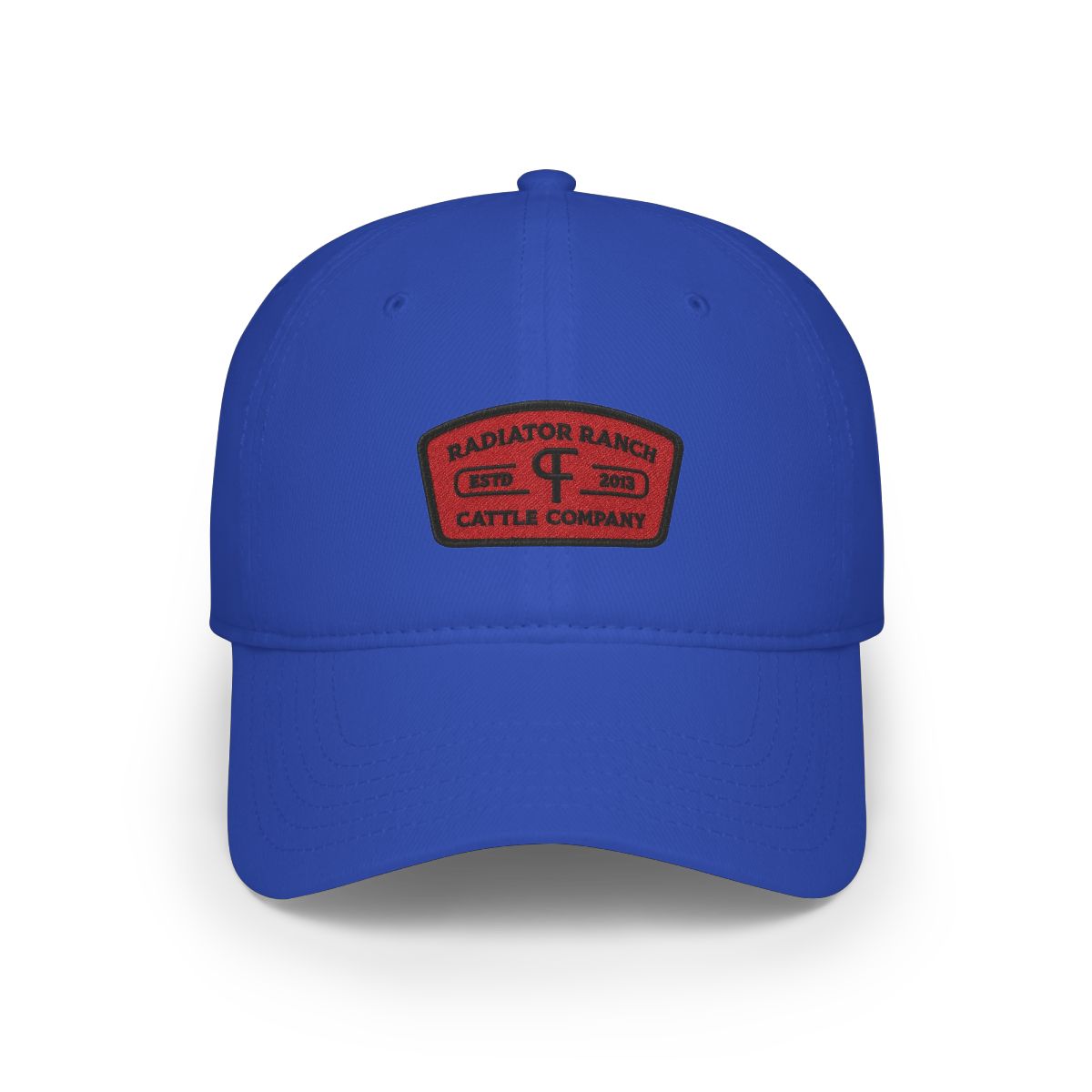 Black Cattle Co Patch Kids Cap | Dale Brisby - alternate angle 5, merchandise
